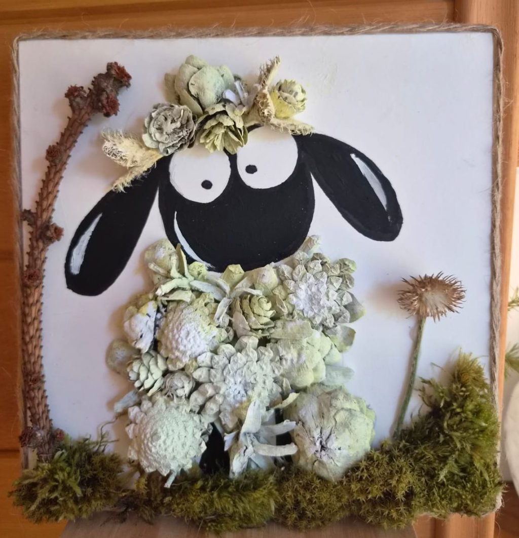 sheep